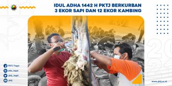 Idul Adha 1442 H PKTJ Berkurban 3 Ekor Sapi dan 12 Ekor Kambing