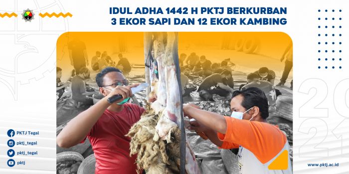 Idul Adha 1442 H PKTJ Berkurban 3 Ekor Sapi dan 12 Ekor Kambing